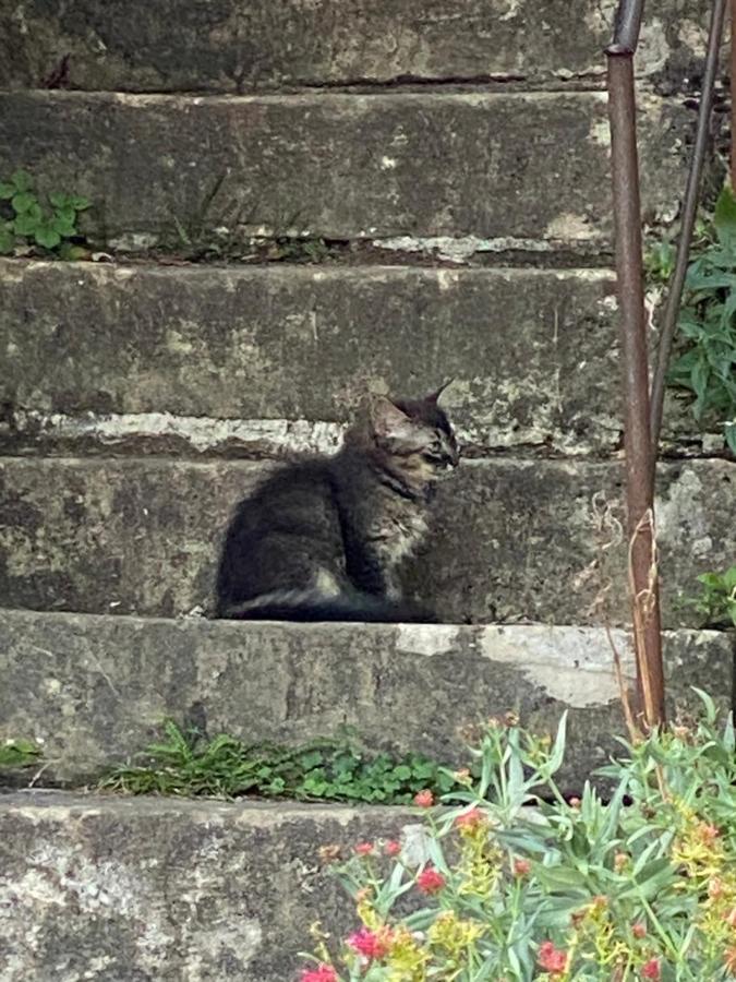 A La Maladiere Neuchatel Ngoại thất bức ảnh